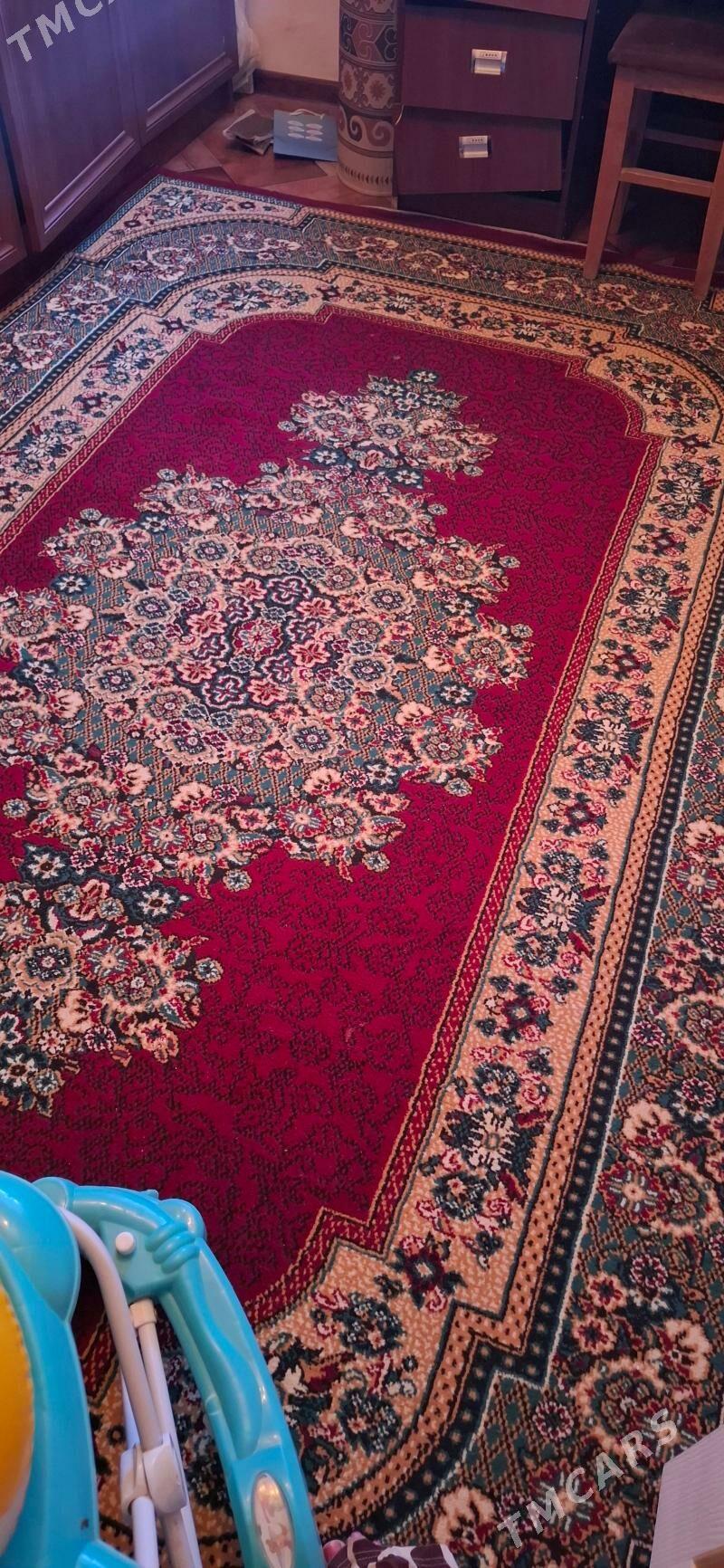 Haly - Мир 4 - img 2