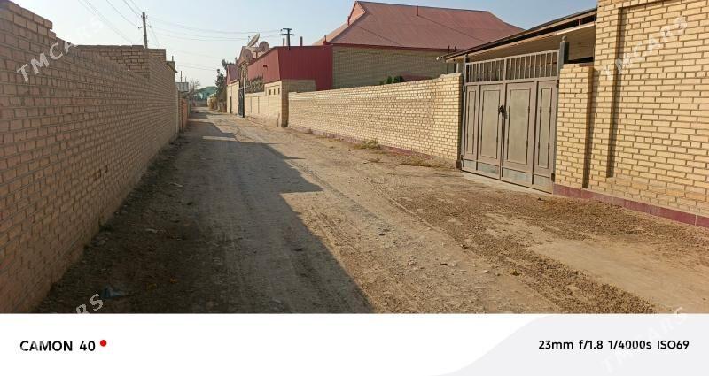 bidyonny daca - Мары - img 5