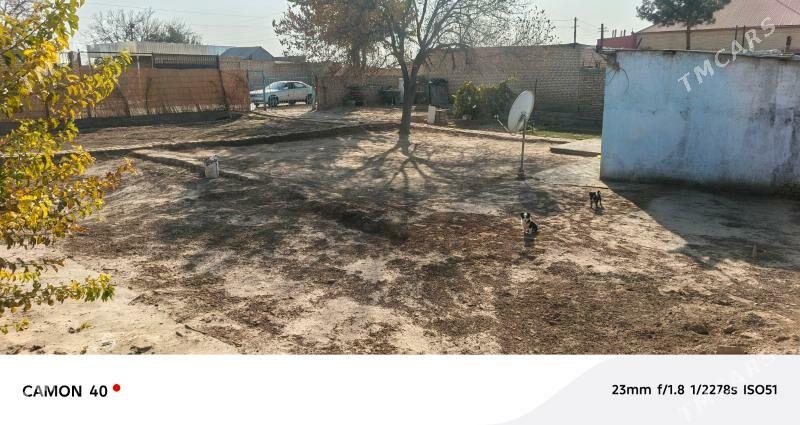 bidyonny daca - Мары - img 6