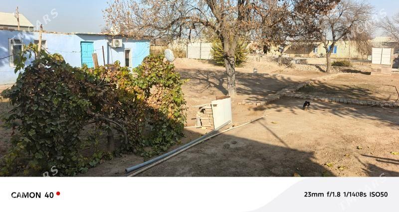 bidyonny daca - Мары - img 7