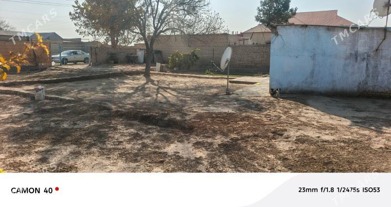 bidyonny daca - Мары - img 2