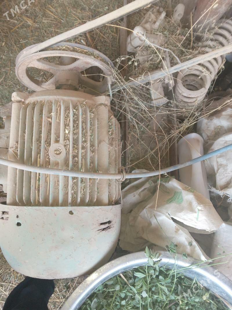 dwizok. - Tejen - img 2