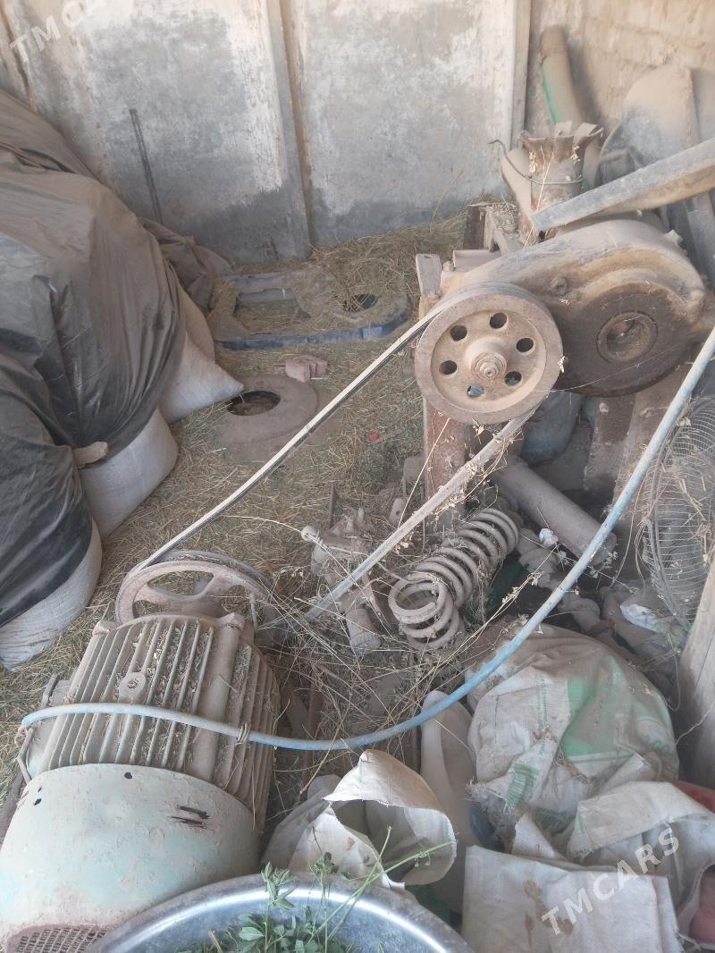 dwizok. - Tejen - img 3