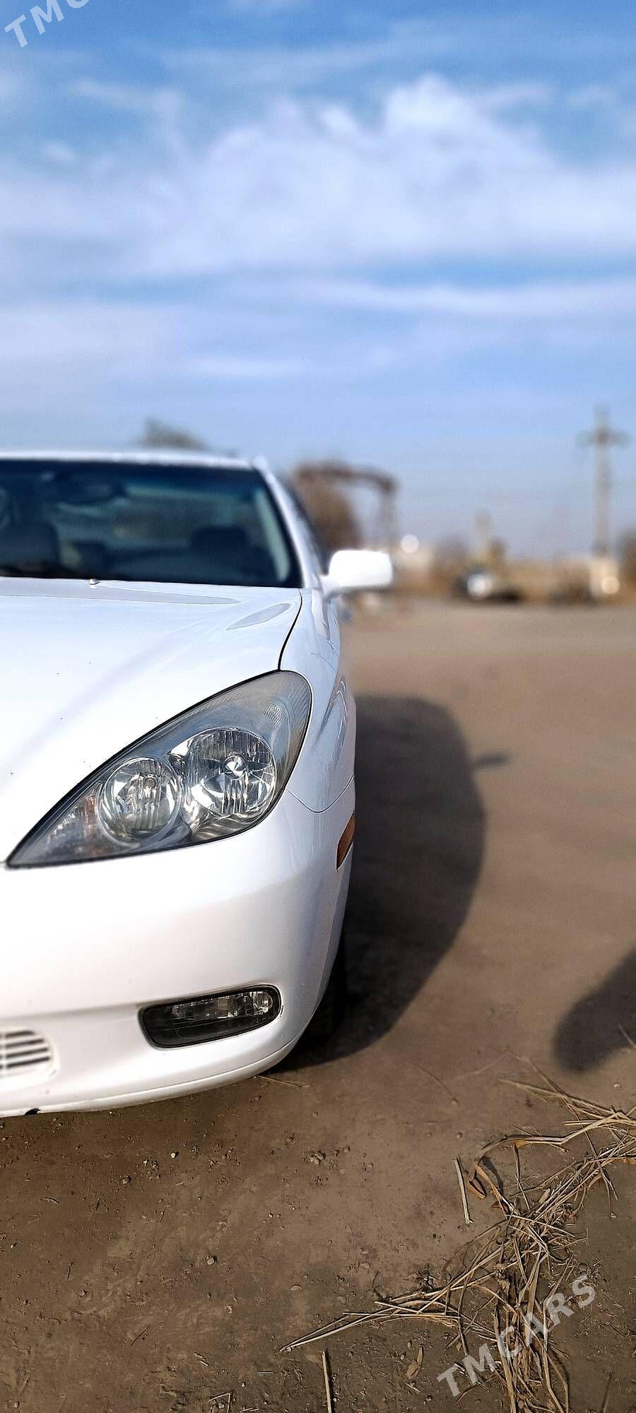 Lexus ES 330 2004 - 149 000 TMT - Гурбансолтан Едже - img 4