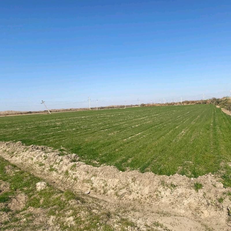 mellek yer satlyk - Gökdepe - img 1