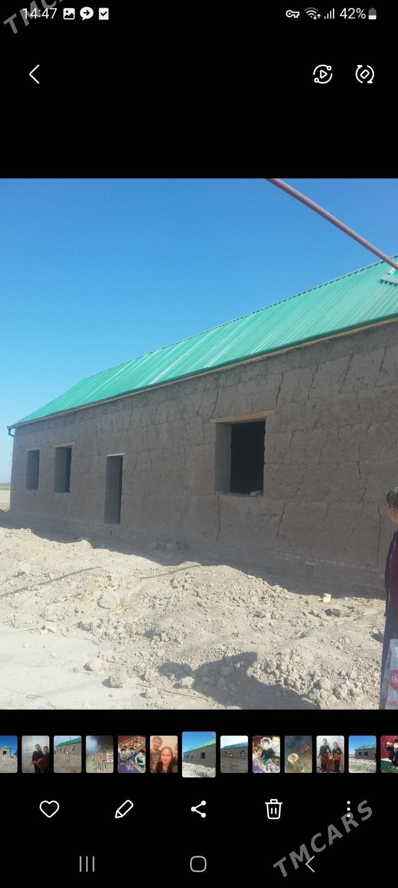 SATLYK JAY   - Halaç - img 5