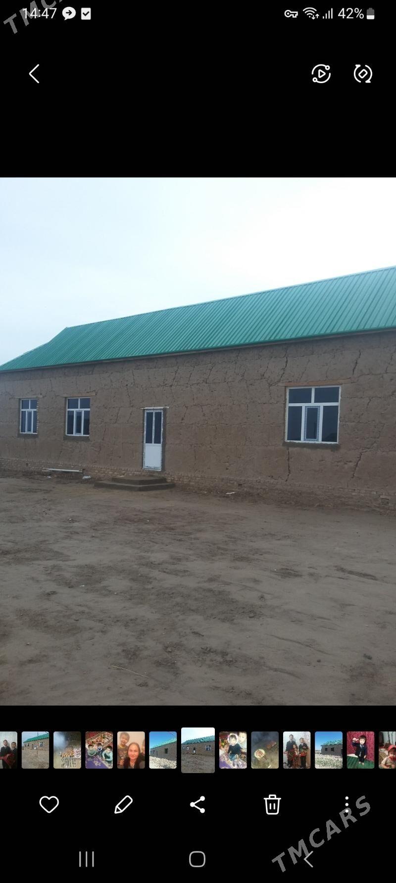 SATLYK JAY   - Halaç - img 6