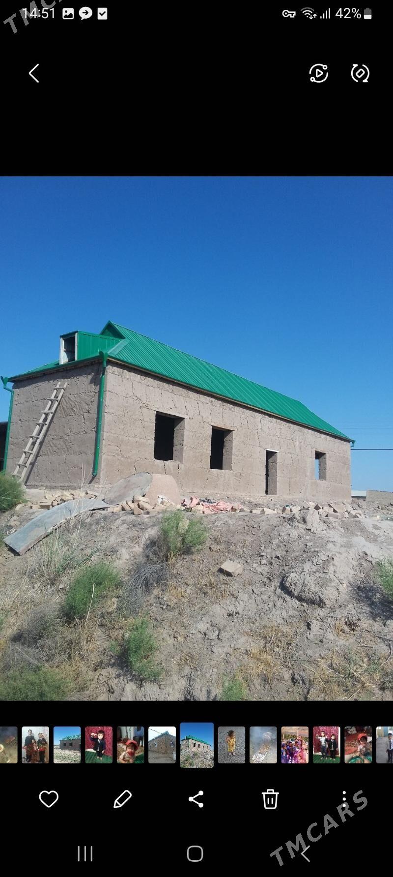 SATLYK JAY   - Halaç - img 2