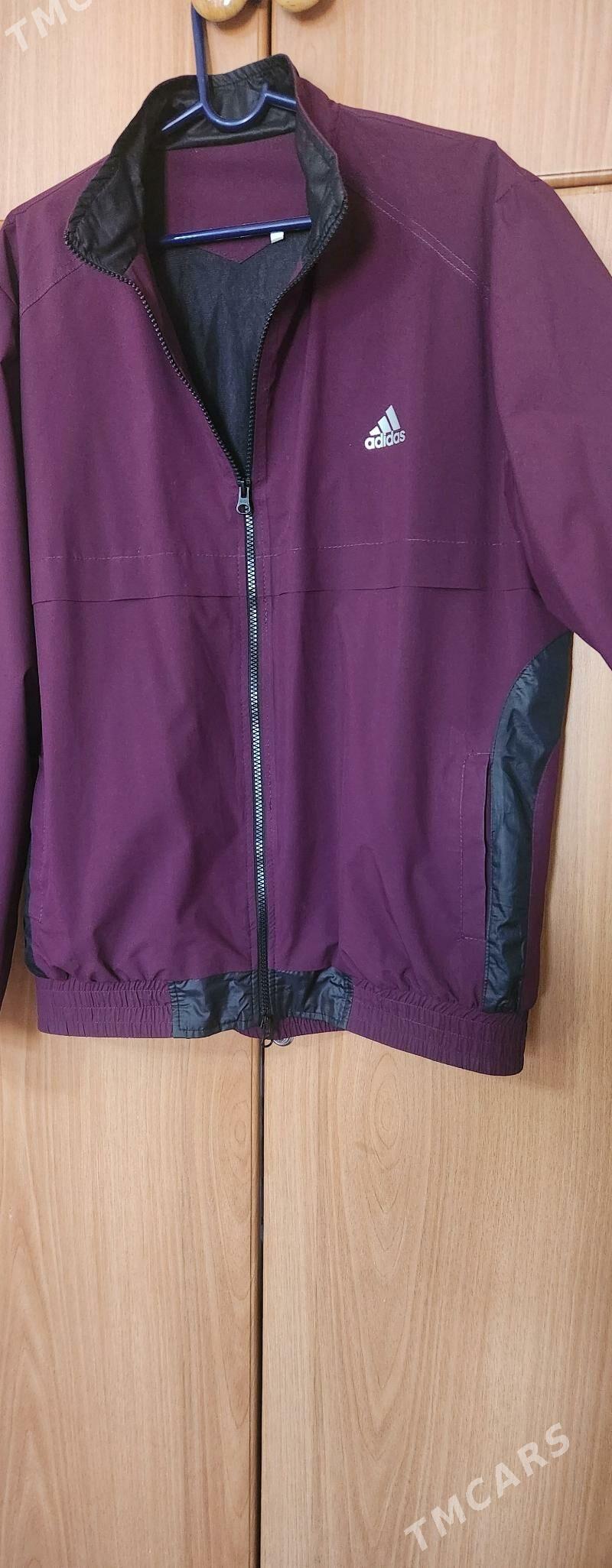 vitrowka arassa - Ашхабад - img 6