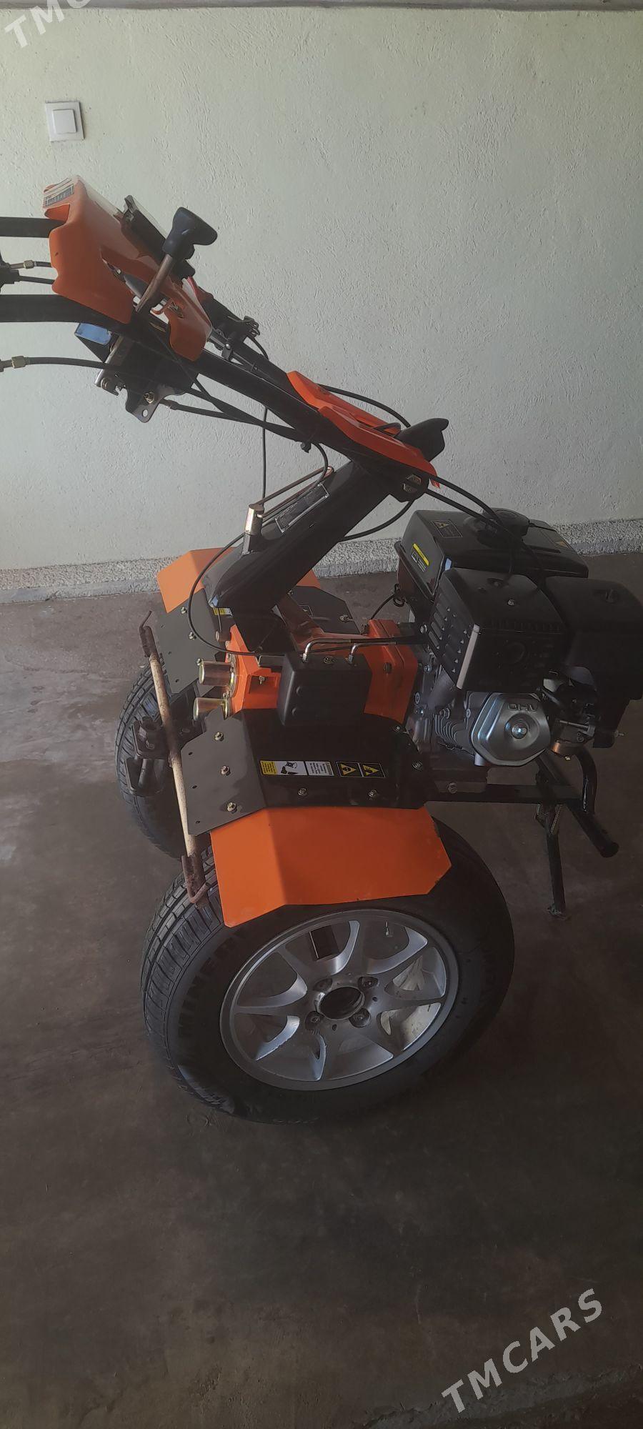 MTZ T-28 2023 - 12 000 TMT - Гороглы (Тагта) - img 4