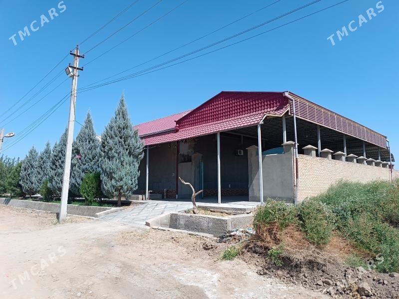 Satlyk jaý, 85 - Mary - img 1