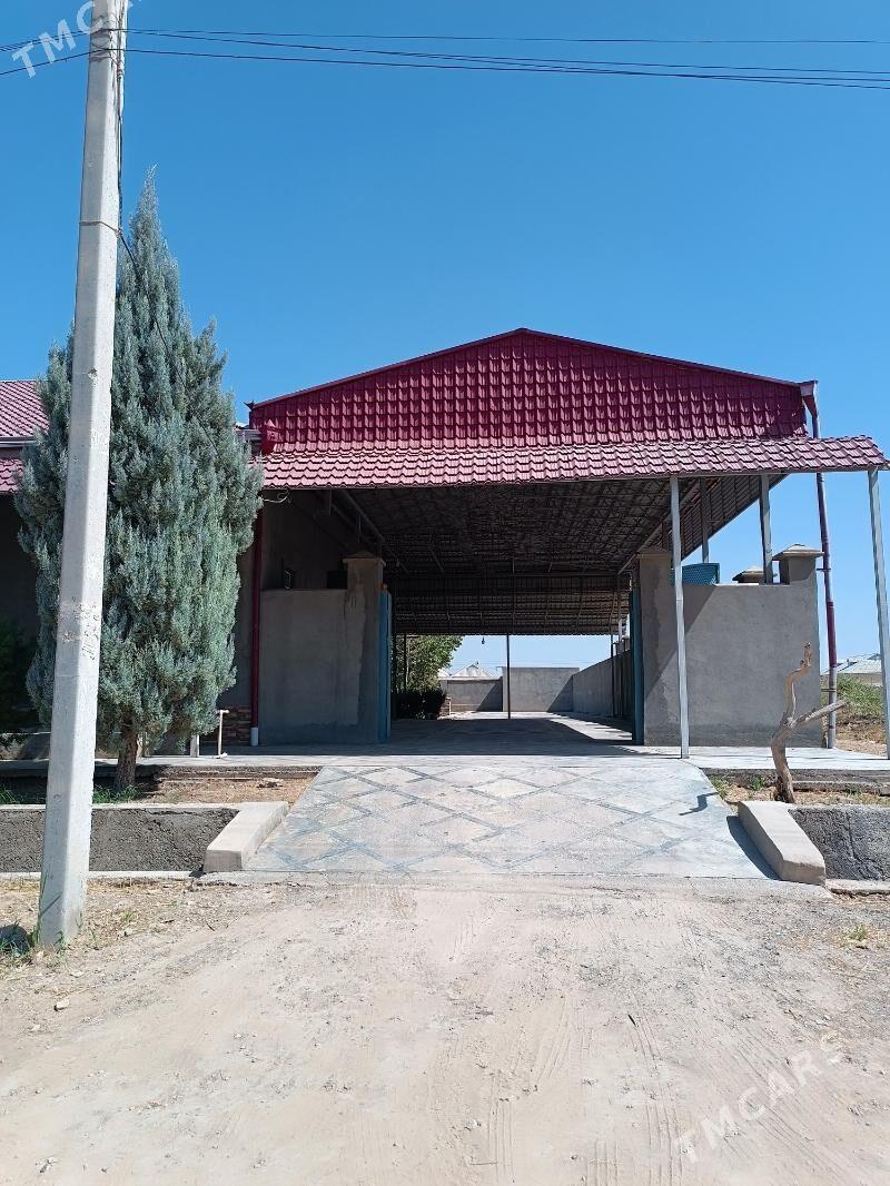 Satlyk jaý, 85 - Mary - img 2