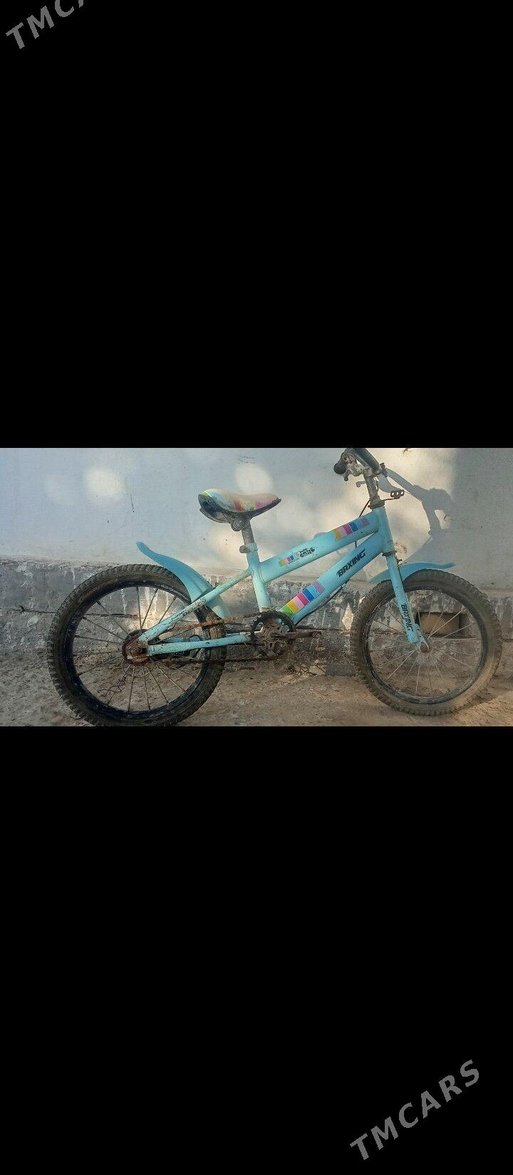 welsepet tigir pelsepit - Сакарчага - img 2