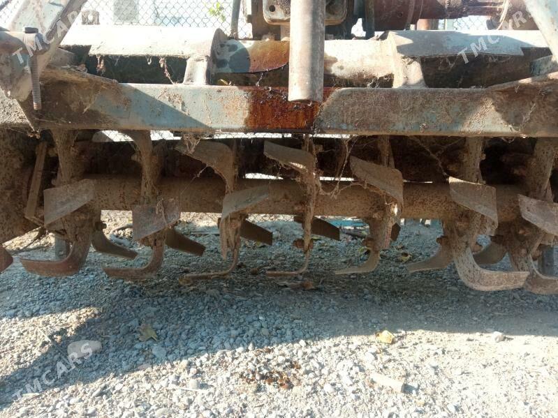 kesek döwýän - Ýaşlyk - img 3