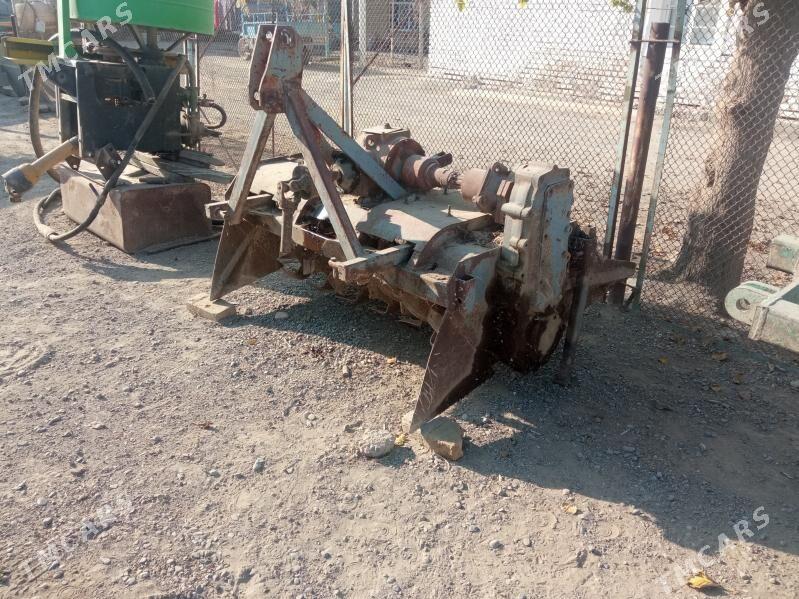 kesek döwýän - Ýaşlyk - img 2