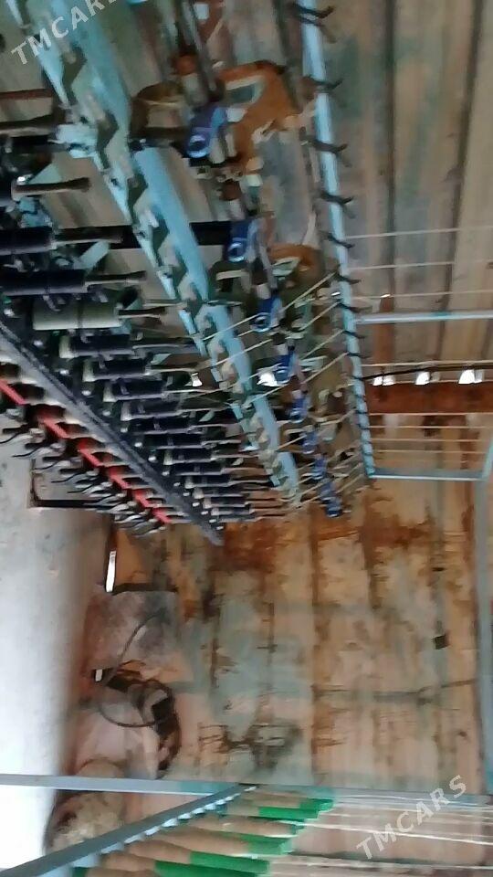 Kurtilni. - Мары - img 3