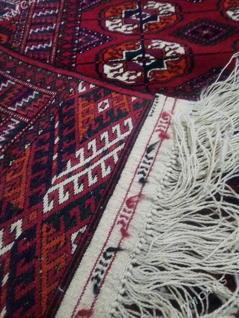 El haly - Änew - img 3