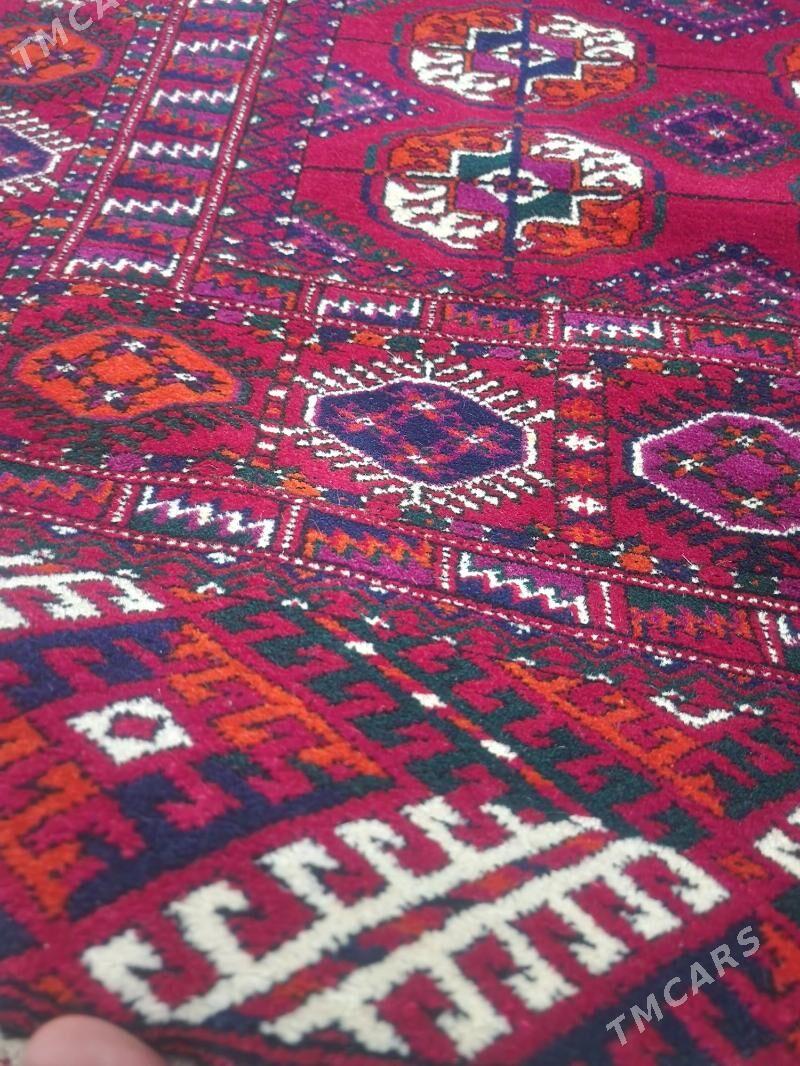 El haly - Änew - img 2