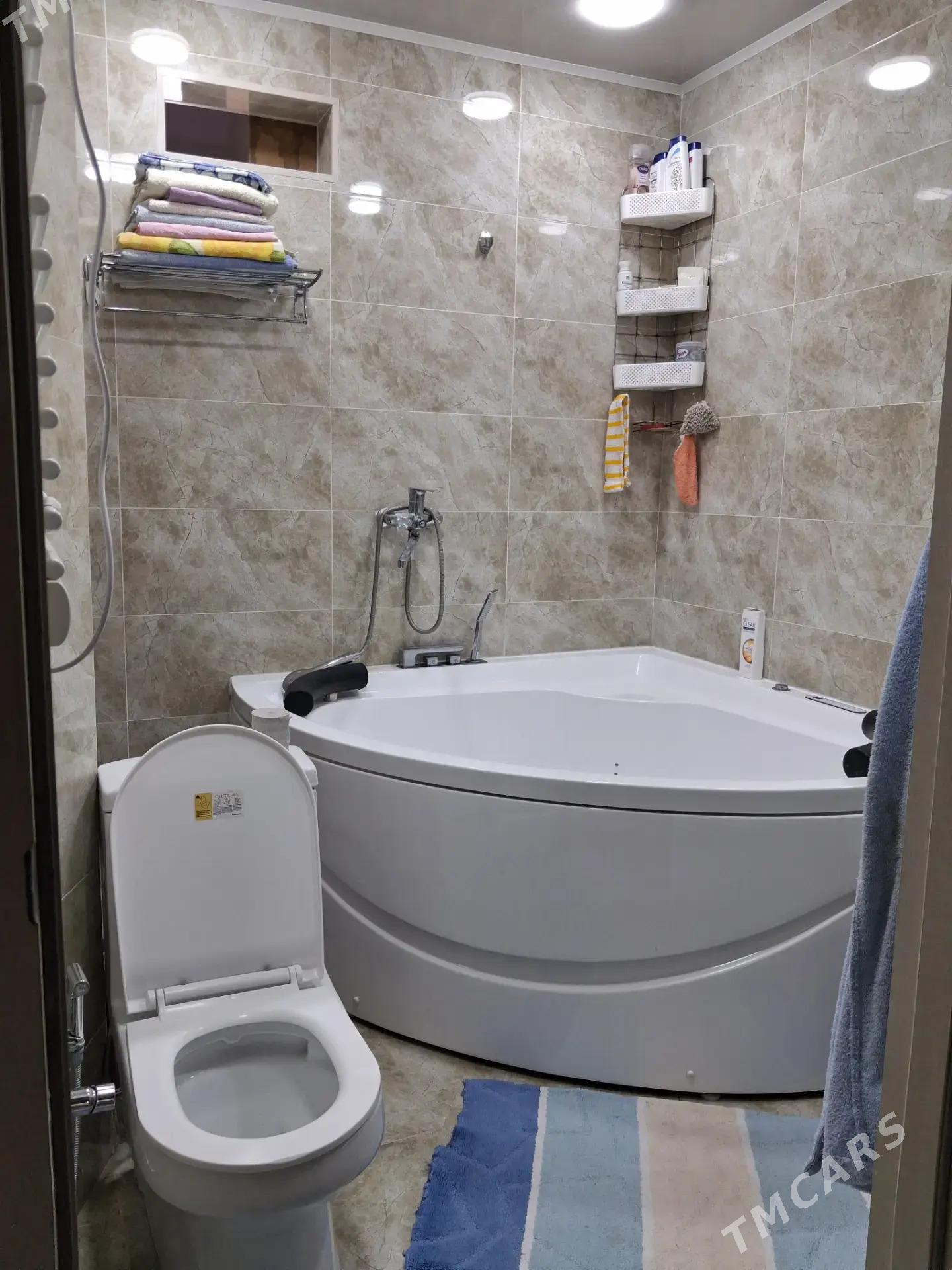 satlyk jay - Мары - img 7