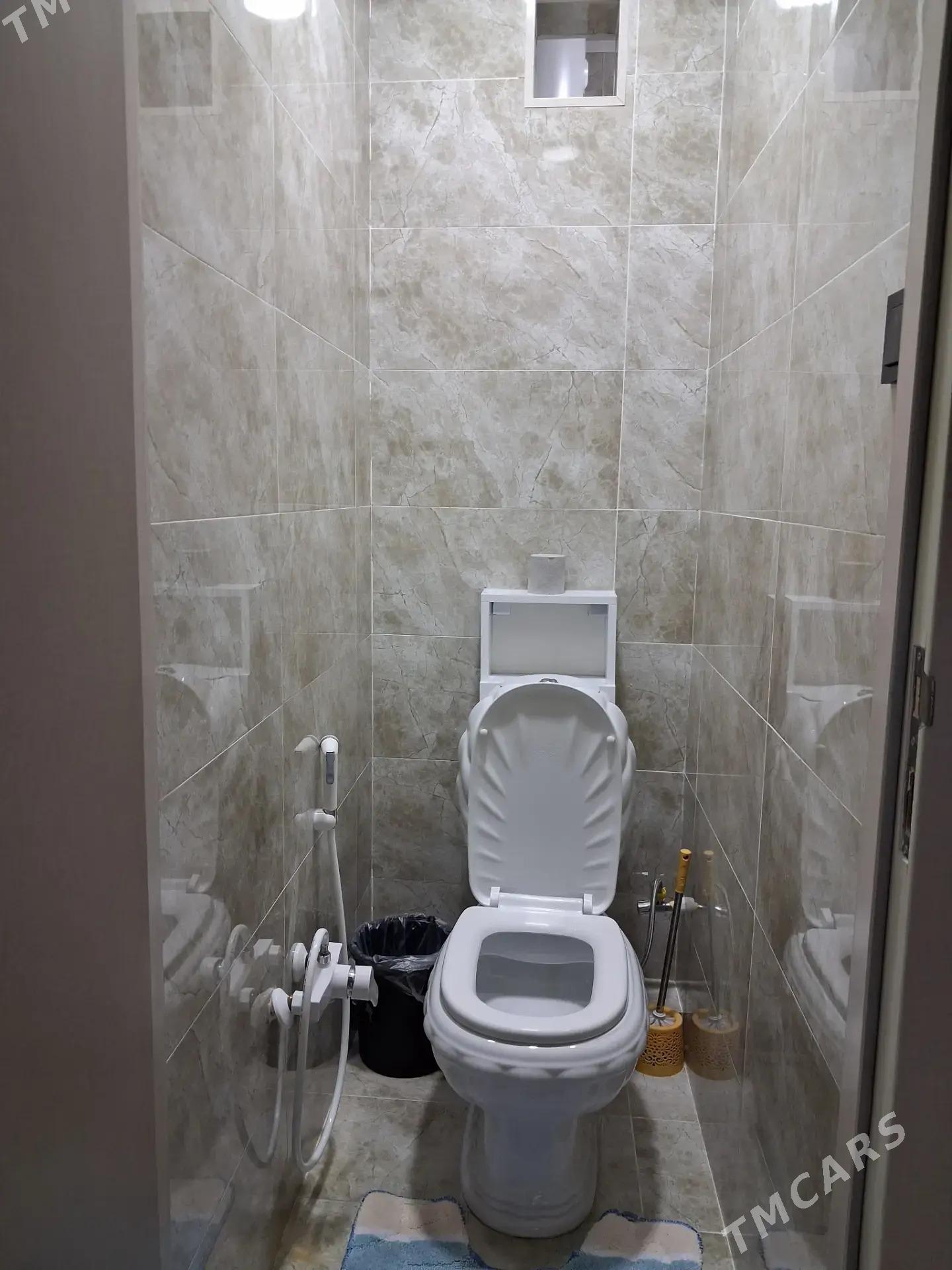 satlyk jay - Мары - img 8