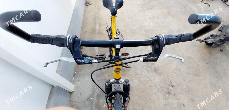 Tigir welisoped - Чоганлы - img 3