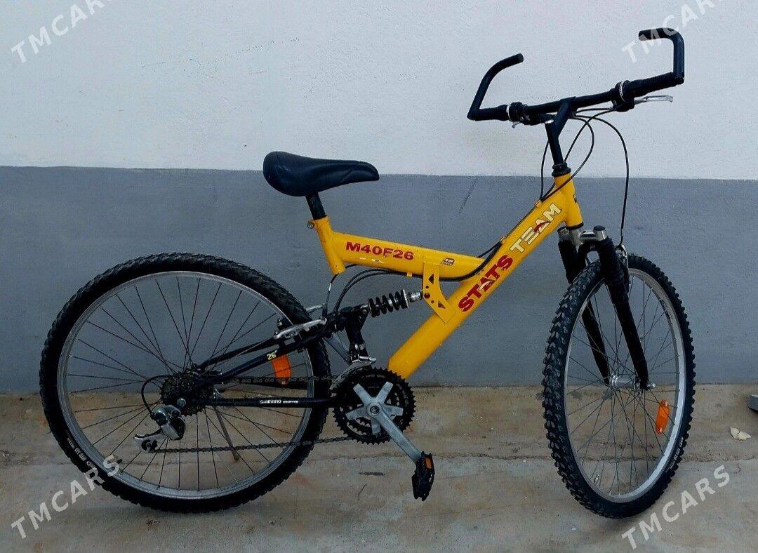 Tigir welisoped - Чоганлы - img 2