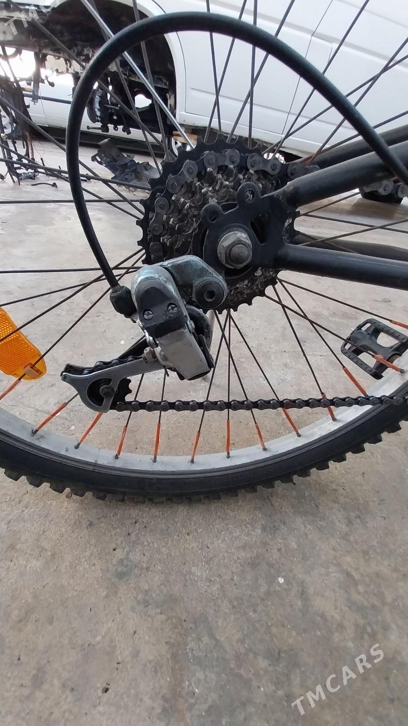 Tigir welisoped - Чоганлы - img 4