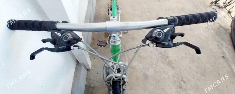 Tigir welisoped - Чоганлы - img 4