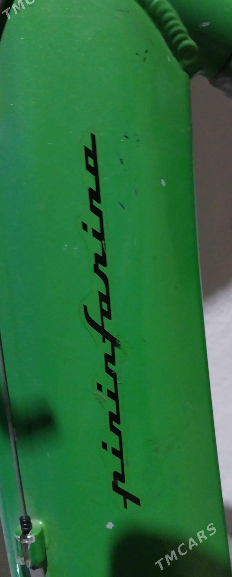 Tigir welisoped - Чоганлы - img 3