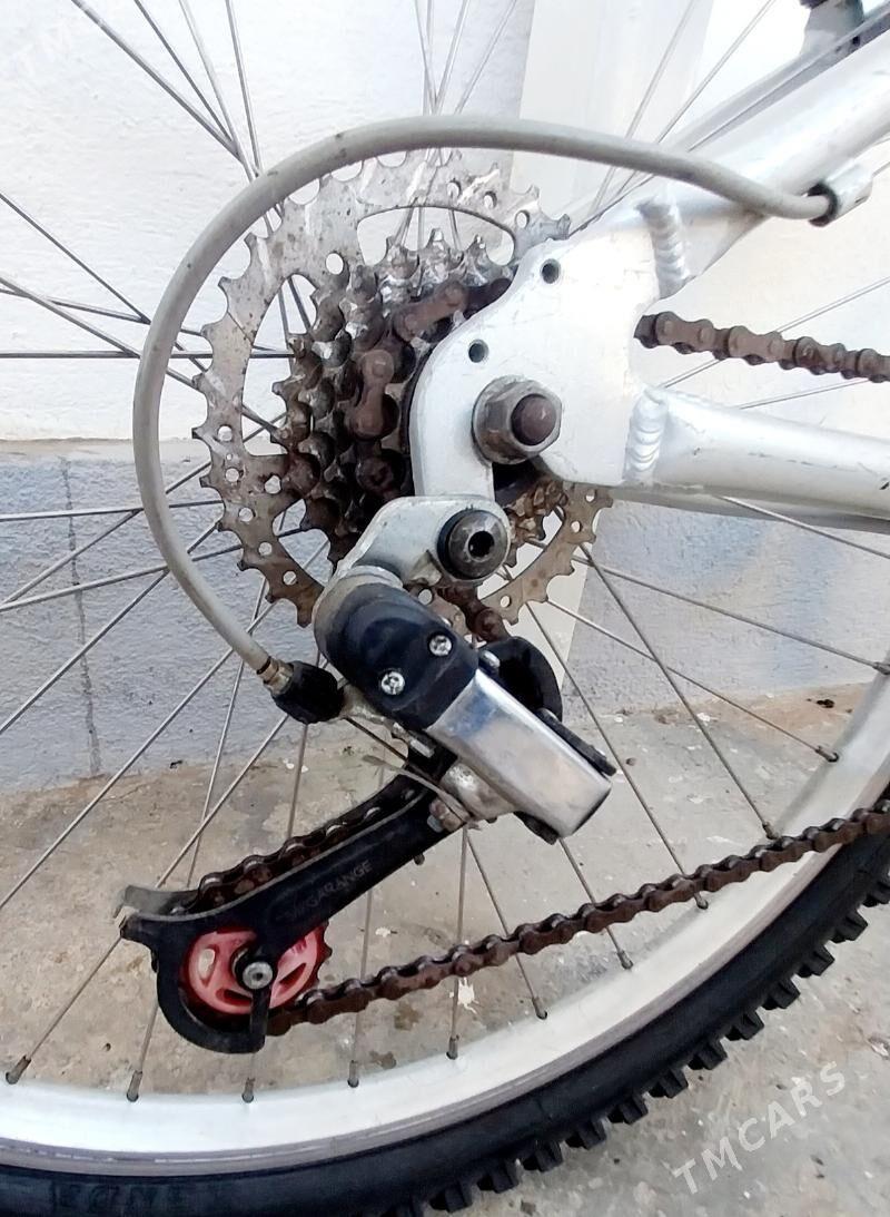 Tigir welisoped - Чоганлы - img 5