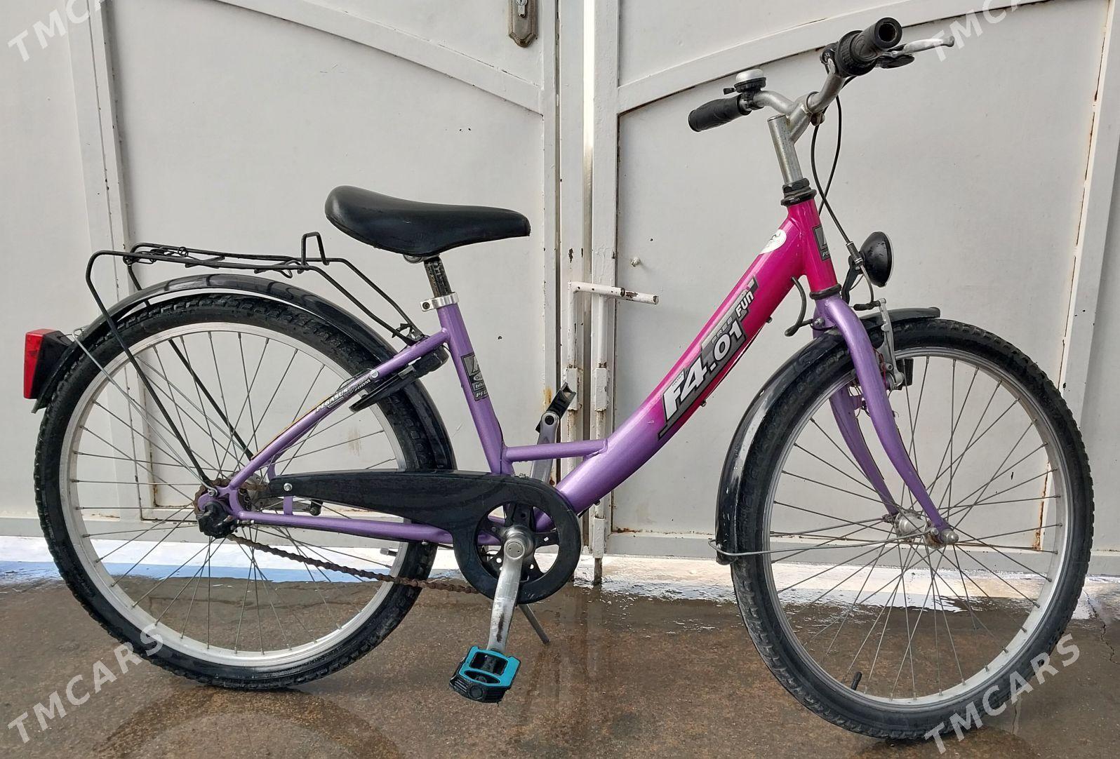 Tigir welisoped - Çoganly - img 2