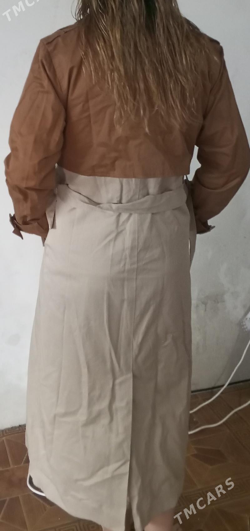 плашь - Türkmenabat - img 3