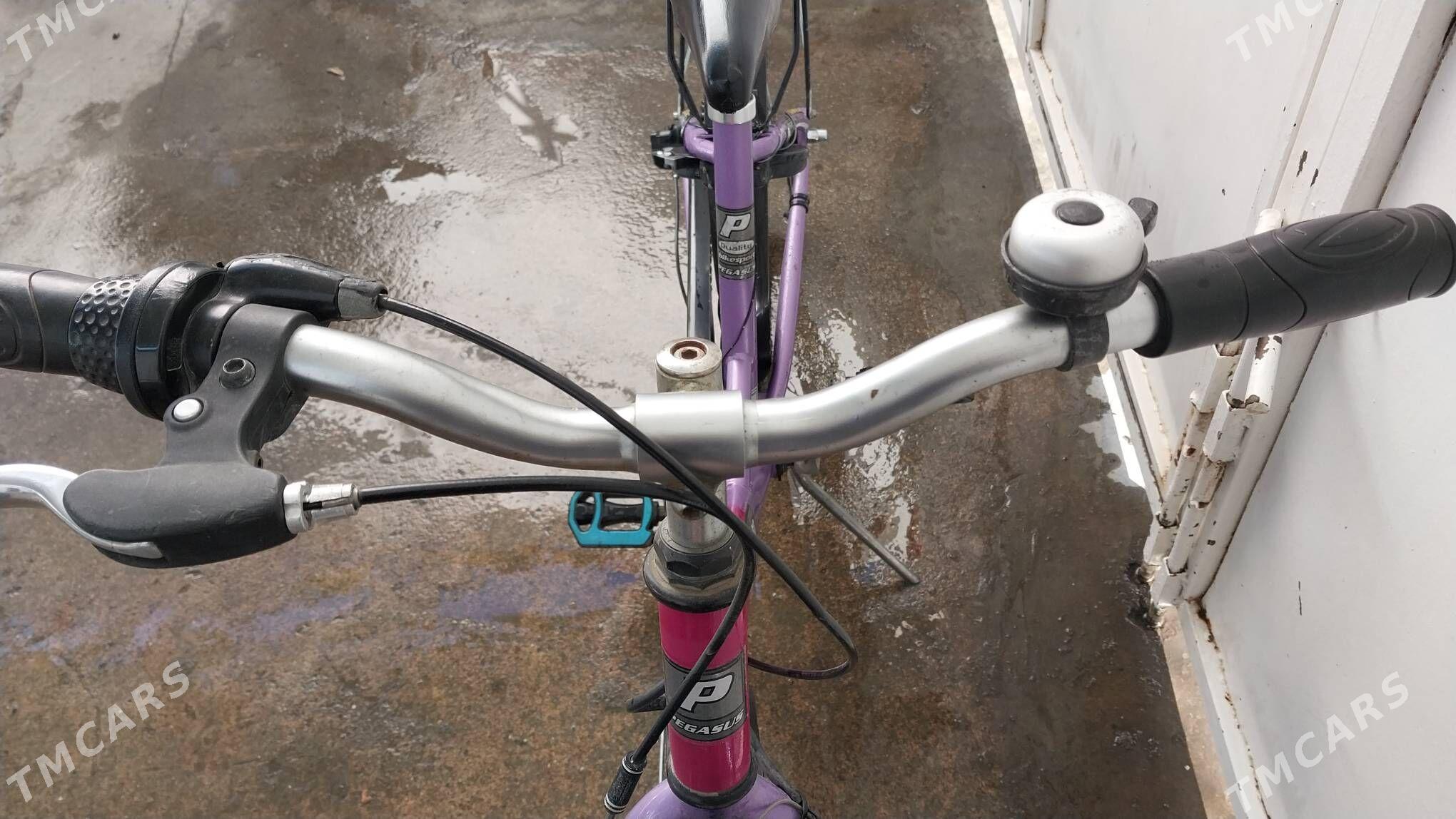 Tigir welisoped - Çoganly - img 3