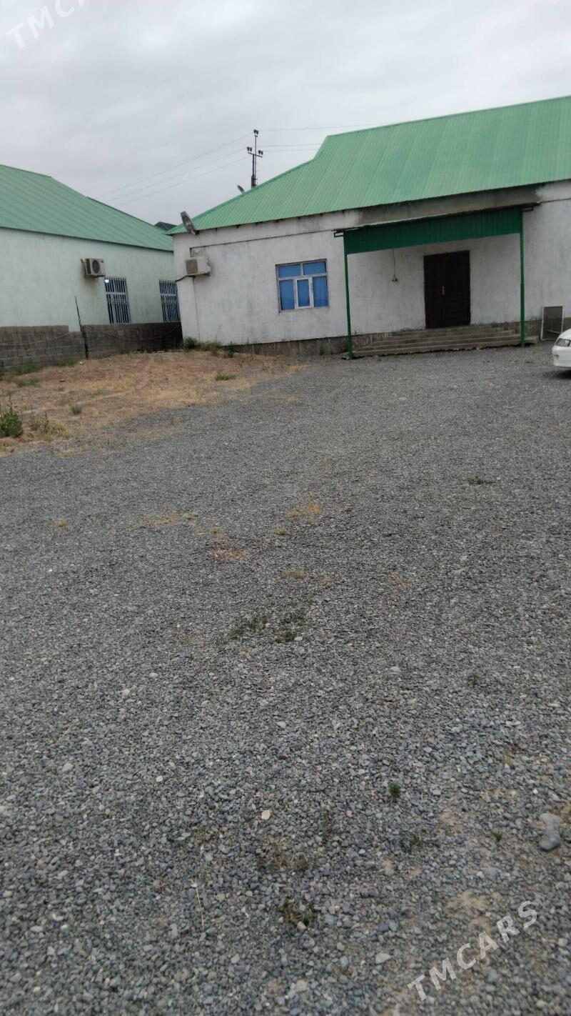 Satlyk jay - Änew - img 1