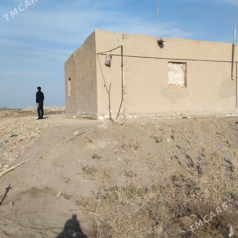 jay - Гороглы (Тагта) - img 5