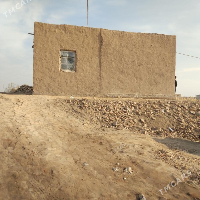 jay - Гороглы (Тагта) - img 2