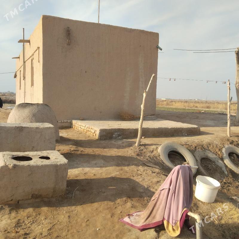 jay - Гороглы (Тагта) - img 1