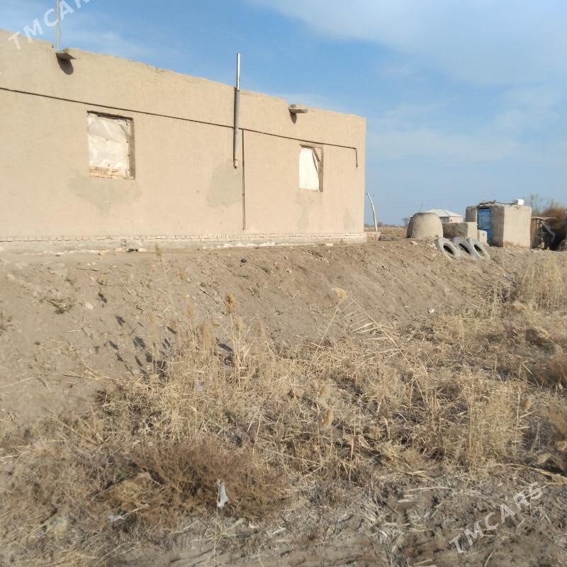 jay - Гороглы (Тагта) - img 4