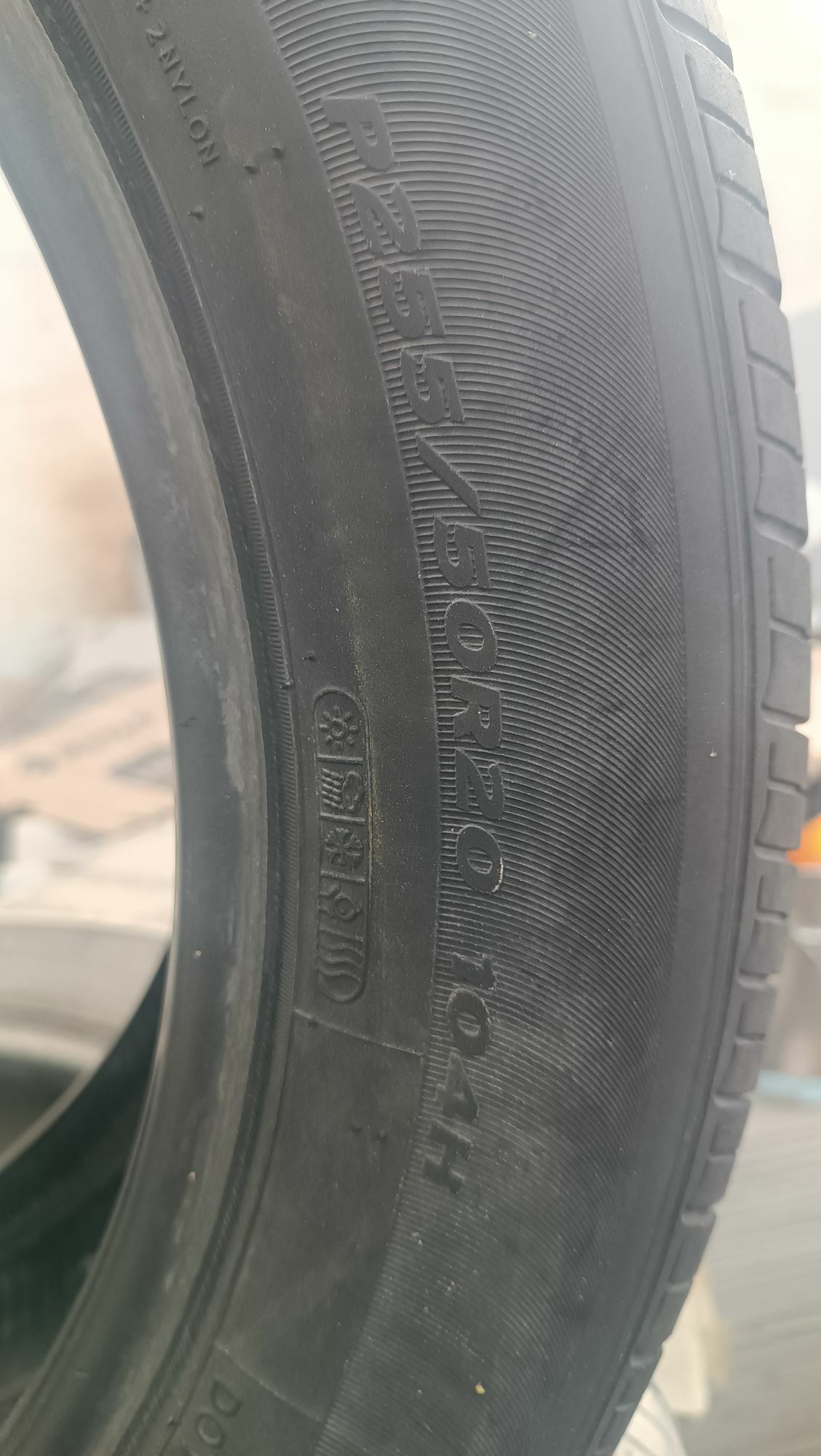 Venza pakrişka 300 TMT - Sakarçäge - img 6