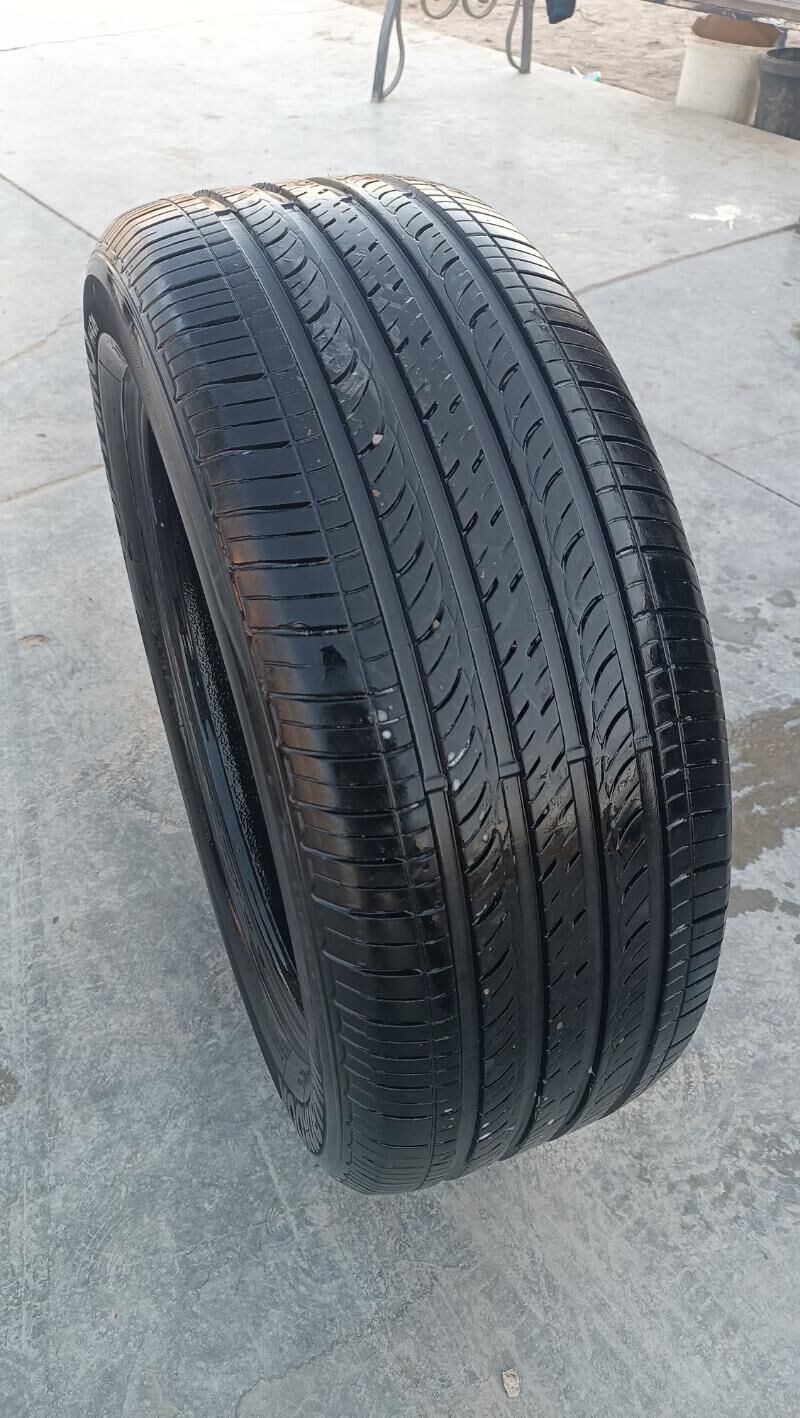 Venza pakrişka 300 TMT - Sakarçäge - img 2