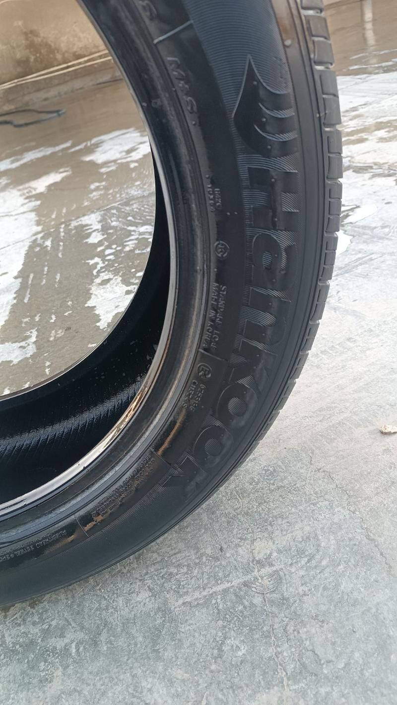 Venza pakrişka 300 TMT - Sakarçäge - img 4