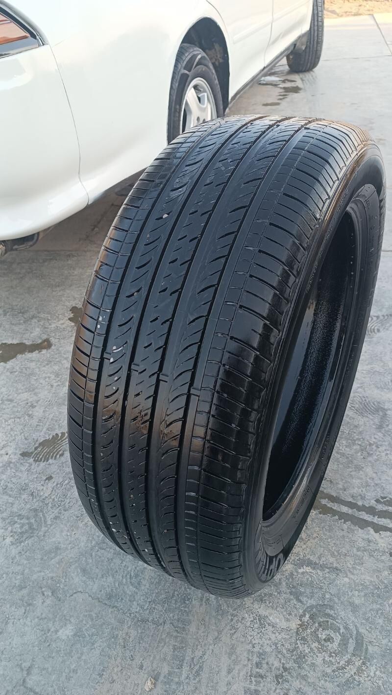 Venza pakrişka 300 TMT - Sakarçäge - img 3