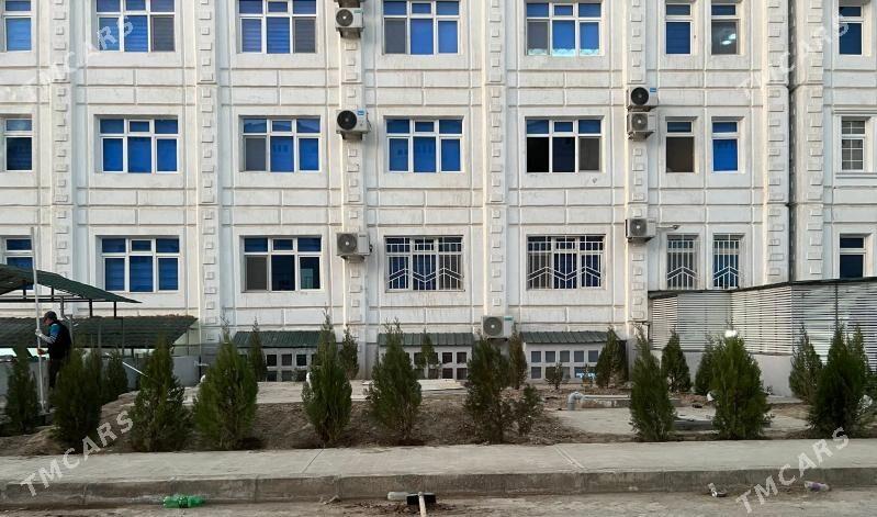  Satlyk Ofis - Änew - img 6