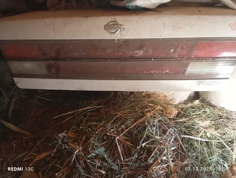 Nissan cefiro yzky bagaj 300 TMT - Mary - img 2