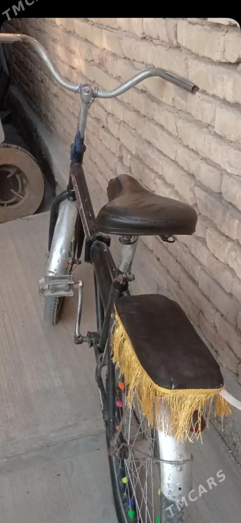 kama - Dänew - img 3