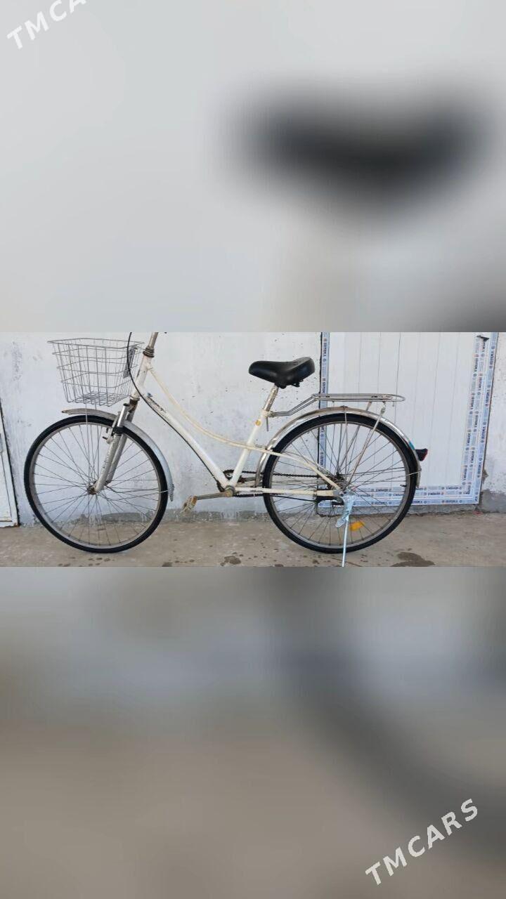 ýaponiski tigir - Garadamak Şor - img 2