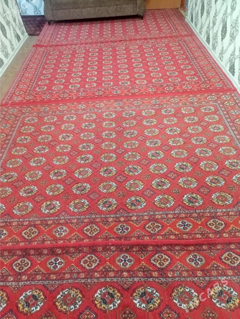 Hilinski haly - Daşoguz - img 1