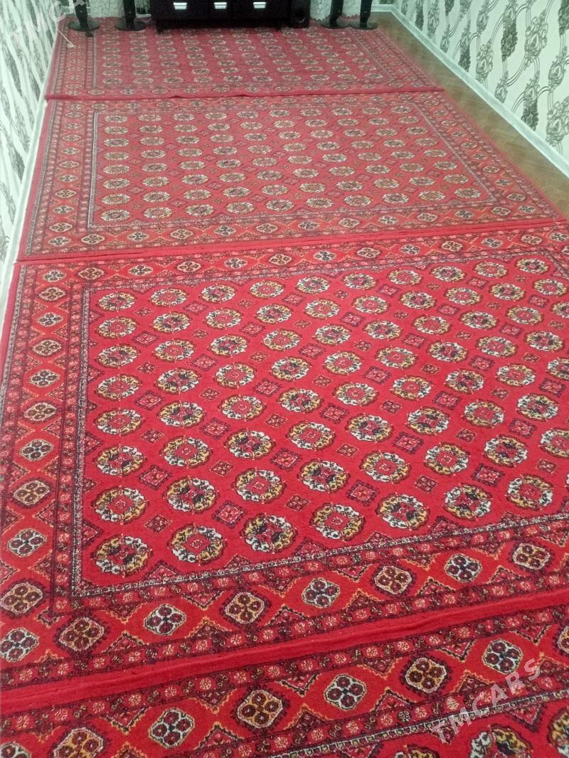 Hilinski haly - Daşoguz - img 2