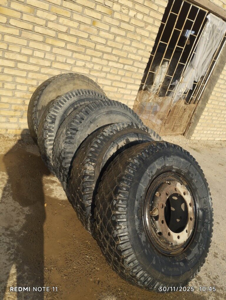 12 lik teger 600 TMT - Mary - img 3