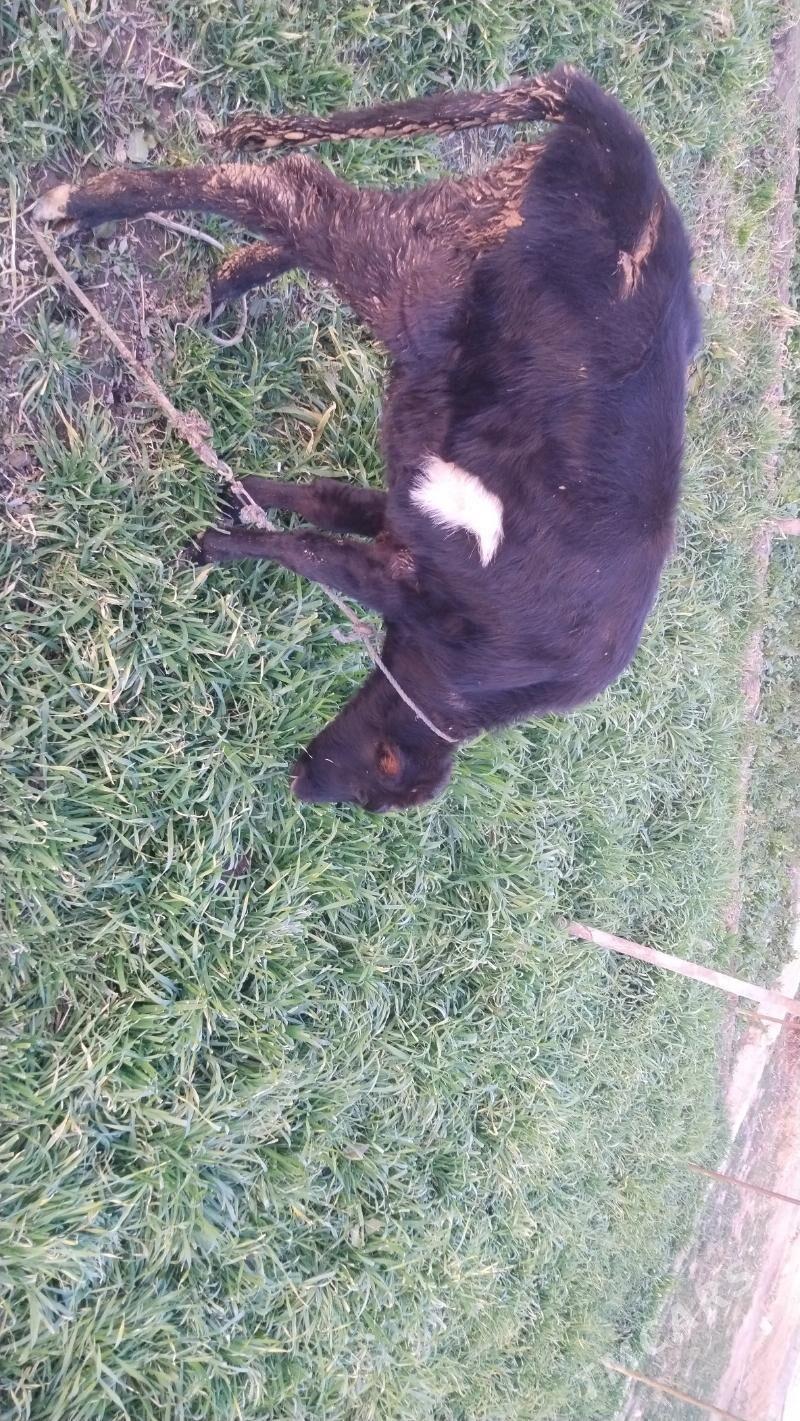 unajyn - Чарджоу - img 5